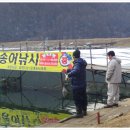 진우낚시터 이미지