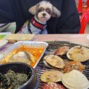 안녕펫(물어보개) | 반려동물인식표 : 물어보개 이젠 찾개 편백나무 QR코드 인식표 만든 후기