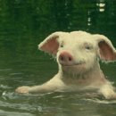 서로도울농장 이미지