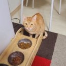 의성마늘카센타 이미지