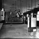 비엔날레병원 이미지