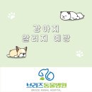 브리즈 동물병원 이미지