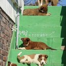 새롬이네집 이미지