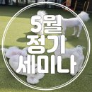 스탠독 이미지