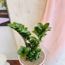 사림동145 이미지