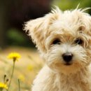 제이동물병원 이미지