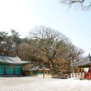심창회센타