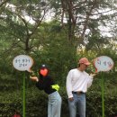 FUN 게임랜드 | [경북 경주 가볼만한곳] 경주월드 : 자유이용권 할인정보 및 놀이기구 후기