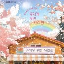 무지개 빨래방 이미지