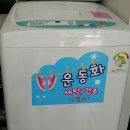 코인워시24빨래터 이미지