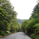 청남대 진입로 이미지