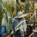 유아단체-함해나 할머니 이야기 이미지