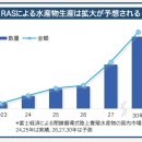 김상희 | [월간 일본 수산 칼럼] 김상희 리포트 Vol.14