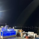 제주 스테이한강 이미지