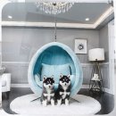 포항시 불법주차차량 견인사무소 | 폼스키 분양 후기 주차장 없는 아파트에서 살아남기