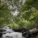 빵귤맨숀 이미지