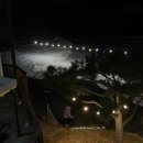 영덕바닷가솔밭펜션 | 영덕 오션뷰 숙소 추천, 일출 볼 수 있는 바닷가 펜션(바닷가 솔밭 스테이)