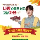 슈올즈창원