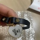 비비펫 이미지
