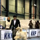 퍼피프린스 이미지