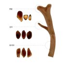 장생사슴농장 이미지