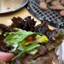 서울금옥초등학교 | 금호역고깃집 산청화로, 갈매기살이 맛있었던 고깃집!