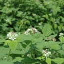 박동호농장 이미지