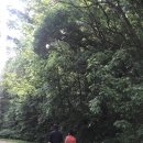 상진할인마트