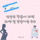 강서구-32 | 임산부 비행기 항공사 혜택 총정리｜공항 우선 체크인·우선탑승·앞자리 받은 후기