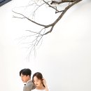 스튜디오잘 이미지