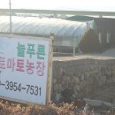 늘푸른농장2 이미지