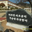 욕지중학교 이미지