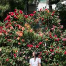 지에스25(GS25) 홍대공원점 이미지