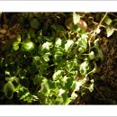 부자농원 이미지