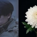 CW-1243-01 이미지