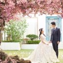 이엑스엔터테인먼트 이미지