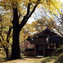 덕동폭포집 이미지