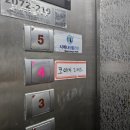 서부로(3-159) | 가성비 웨딩 스냅 촬영 드레스 대여 추천 코아차 드레스 (피팅 후기 O)