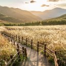 호텔간월재 이미지