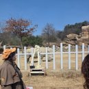 (주)마이카써비스 | 에버랜드 로스트밸리 워킹사파리 3월 한정 뚜벅이 관람 후기 (정문 주차 및 발레파킹 예약 꿀팁 총정리!)