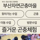 신안초등학교 병설유치원 이미지