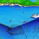 전진목장 이미지