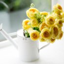 아침향기 이미지