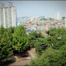 대청호카페 금린 | 대청호 드라이브 코스(청주시내→현암정→대청댐→추동선 벚꽃길→오동선→염티재→문의)→민물매운탕...