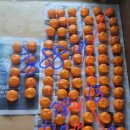 훈이네농장 이미지