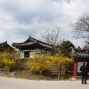 안동유도관 이미지