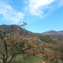 명옥농장 이미지