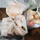 양계장집아들 야당역점 이미지