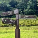 솔마루어린이놀이터 이미지