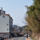 더슈가네돈가츠 | 진주 경상대 카페 | 경대 후문 조용한 카공 카페 '터틀디베이커리' 디저트 내돈내산 후기